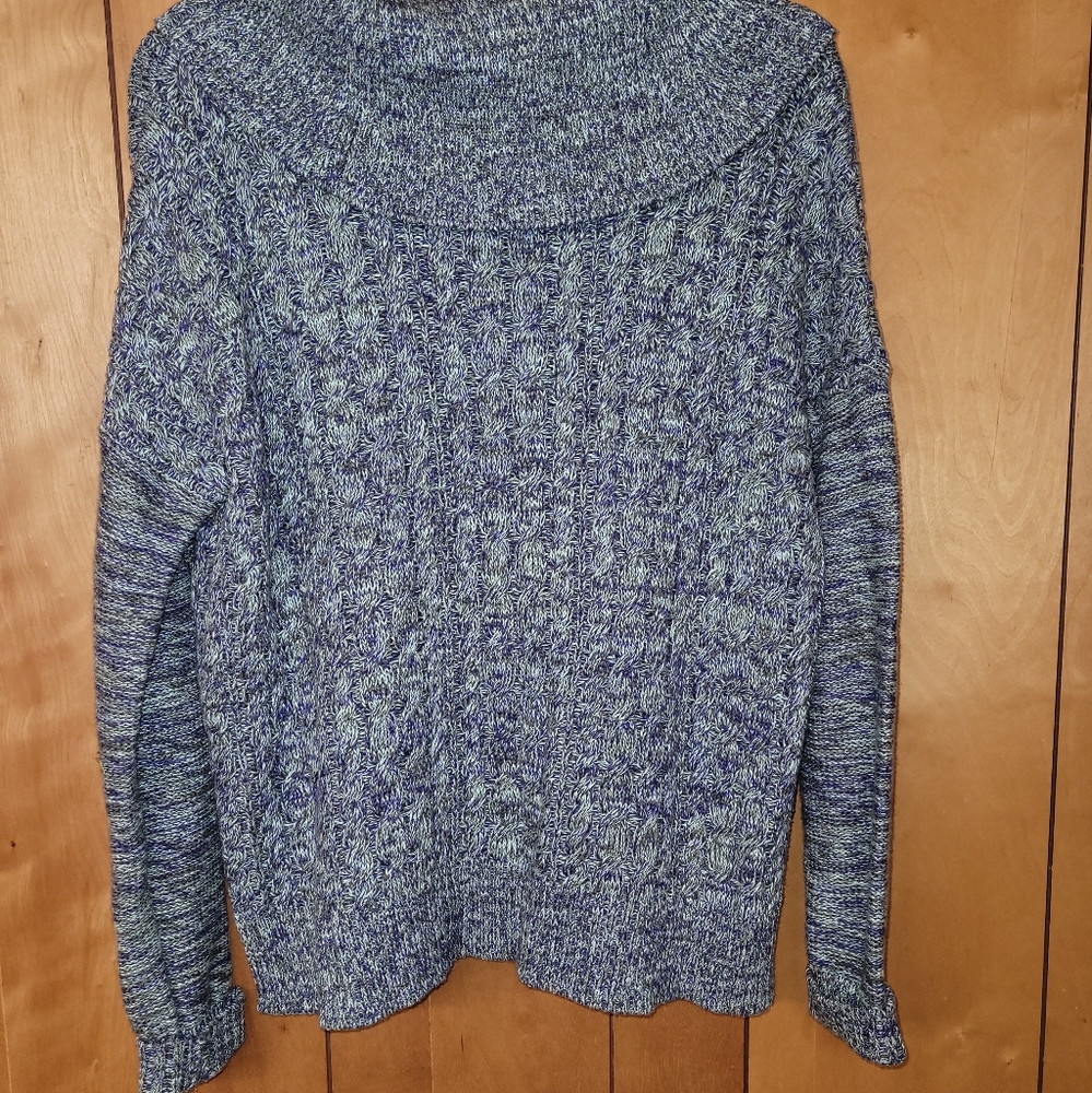 American Eagle Outfitters Oversized Turtleneck